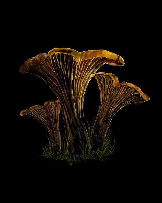Golden Treasures