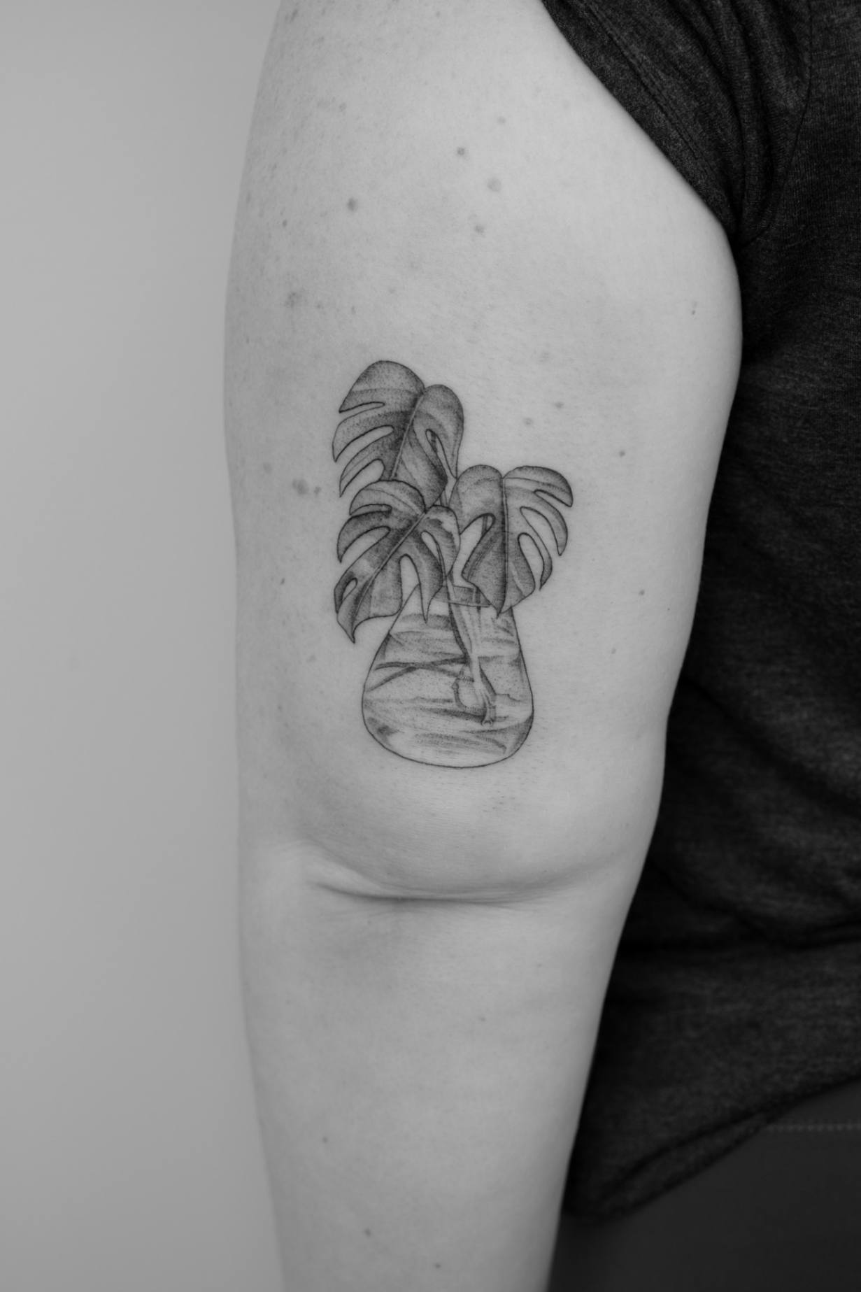 Botanical fine line tattoo of a monstera trimming in a propagation glass on the back of a woman's left arm, featured on the FAQ page.