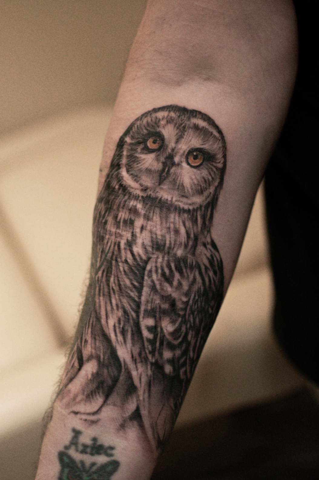 Owl tattoo on the left inner arm, designed as a scar cover-up, showcasing intricate details and artistry.