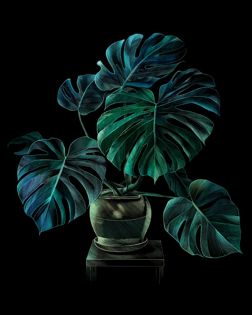Close-up view of the Continuity Art Print showcasing the intricate Monstera design, perfect for adding a touch of nature-inspired art to any room