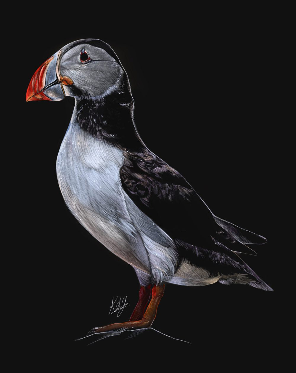 lose-up view of the Free Spirited Puffin Art Print, showcasing detailed fine lines and vibrant colors of the puffin artwork