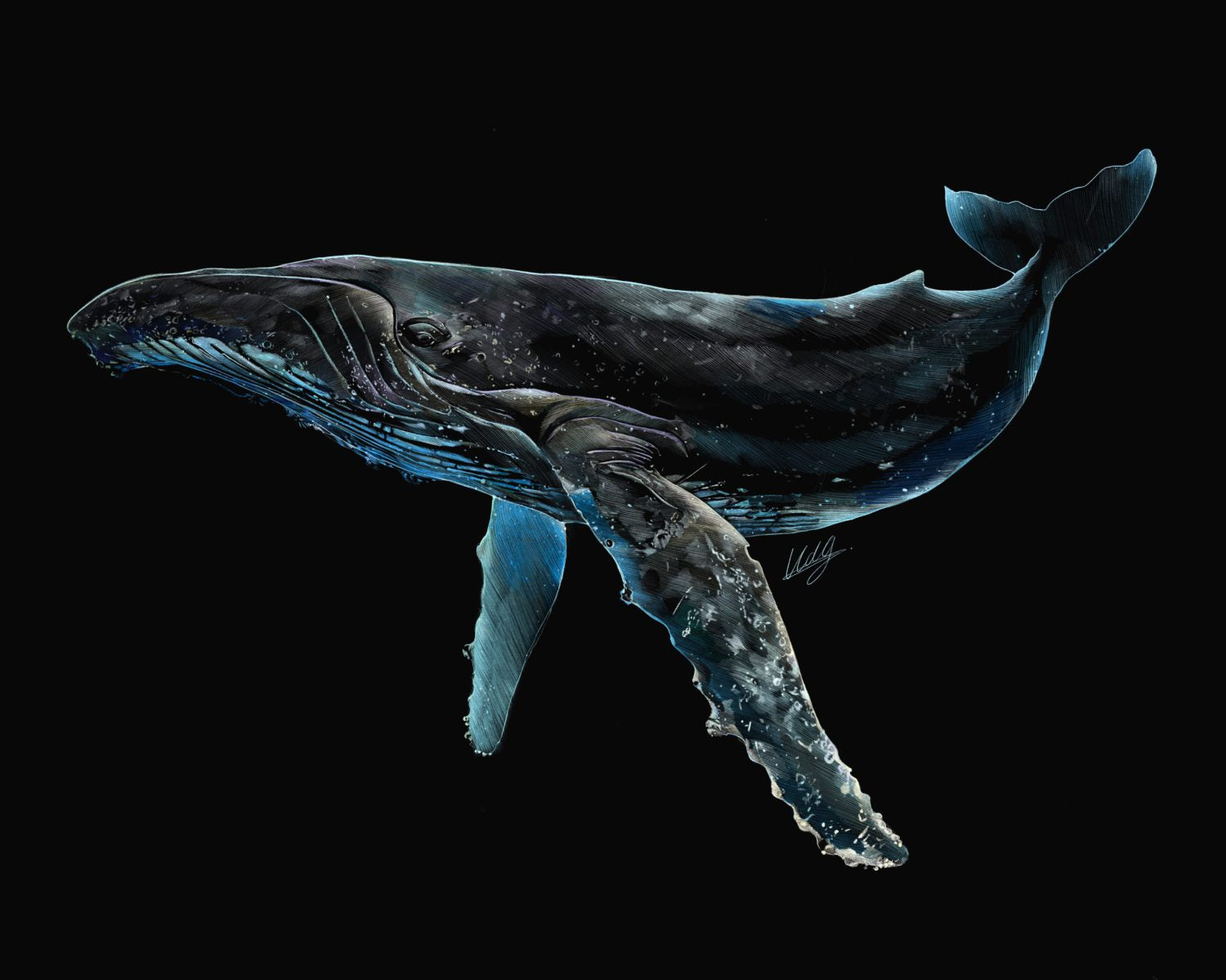 Close-up view of the Luminescent Humpback Whale Art Print, showcasing intricate details and vibrant colors of the whale artwork.