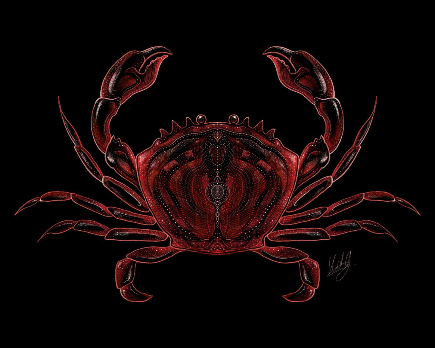 Close-up view of the Sideways Crab Art Print, showcasing the detailed fine lines and vibrant colors of the crab artwork.
