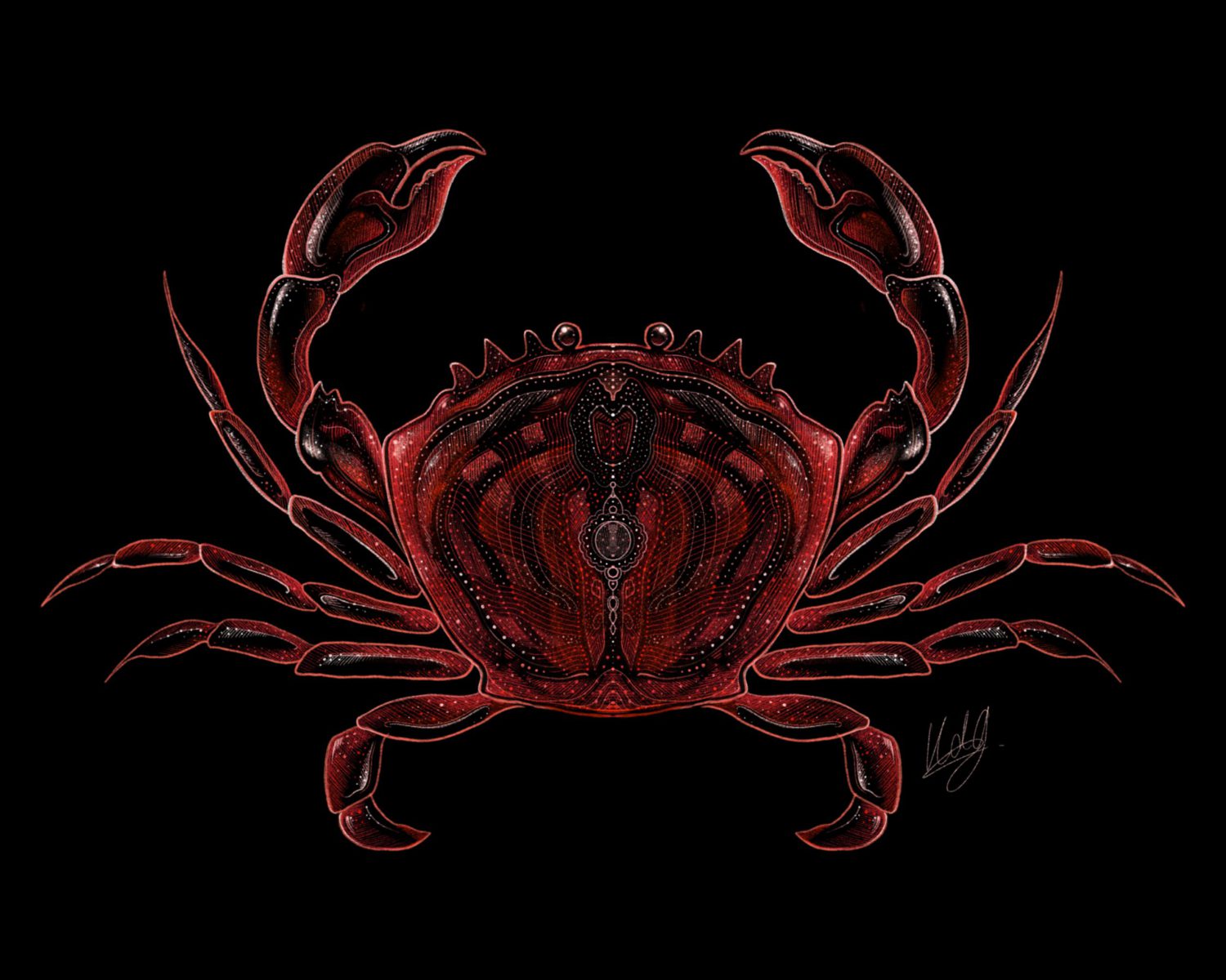 Close-up view of the Sideways Crab Art Print, showcasing the detailed fine lines and vibrant colors of the crab artwork.